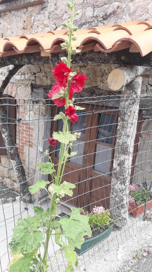 Les Tremieres Bed & Breakfast Saint-Paul-des-Fonts Екстериор снимка